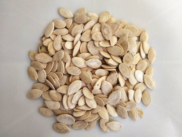 Common  Squash Seed